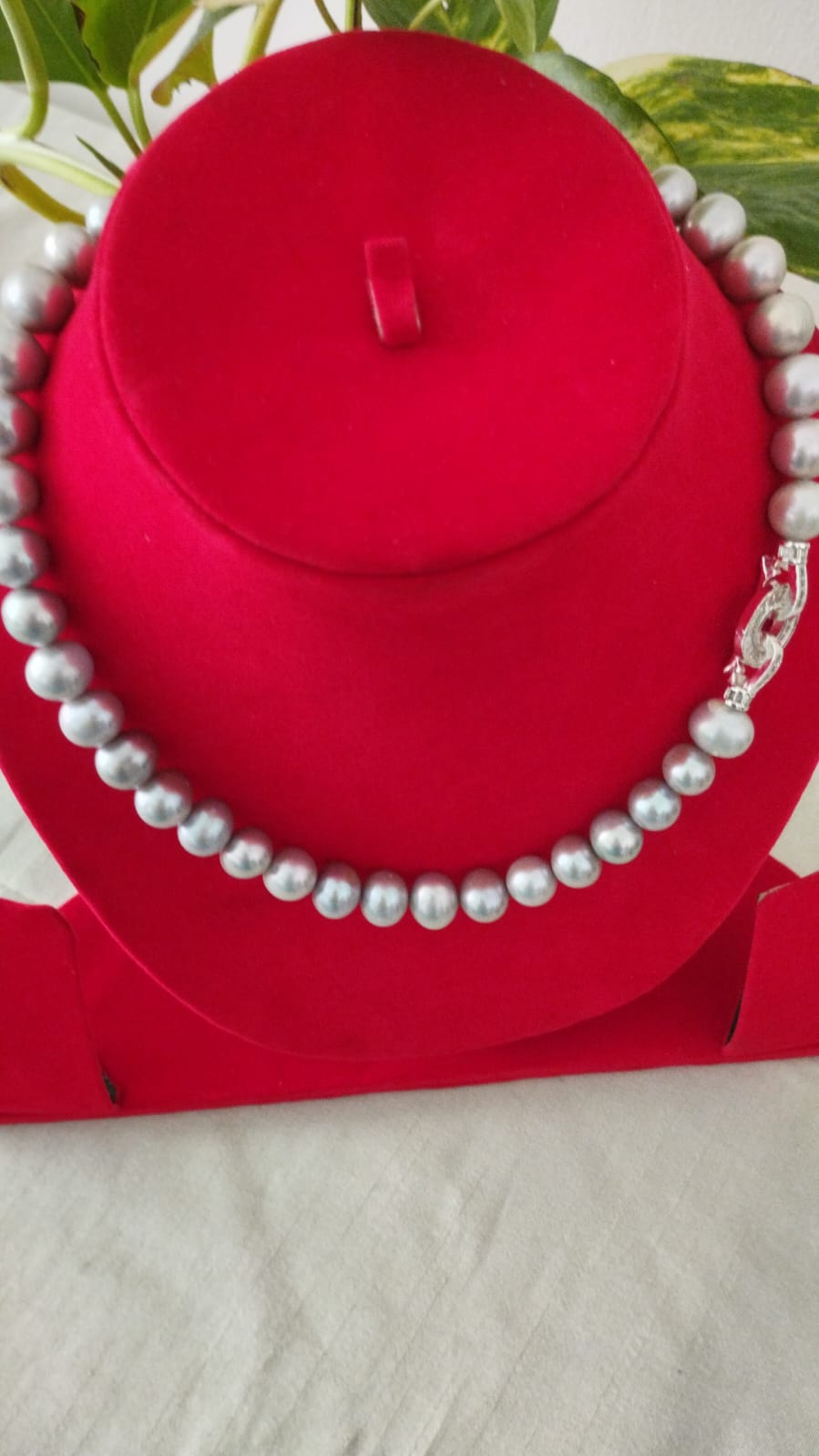 Fresh Water Pearls 10-11 mm Grey Color Fresh Water Pearls