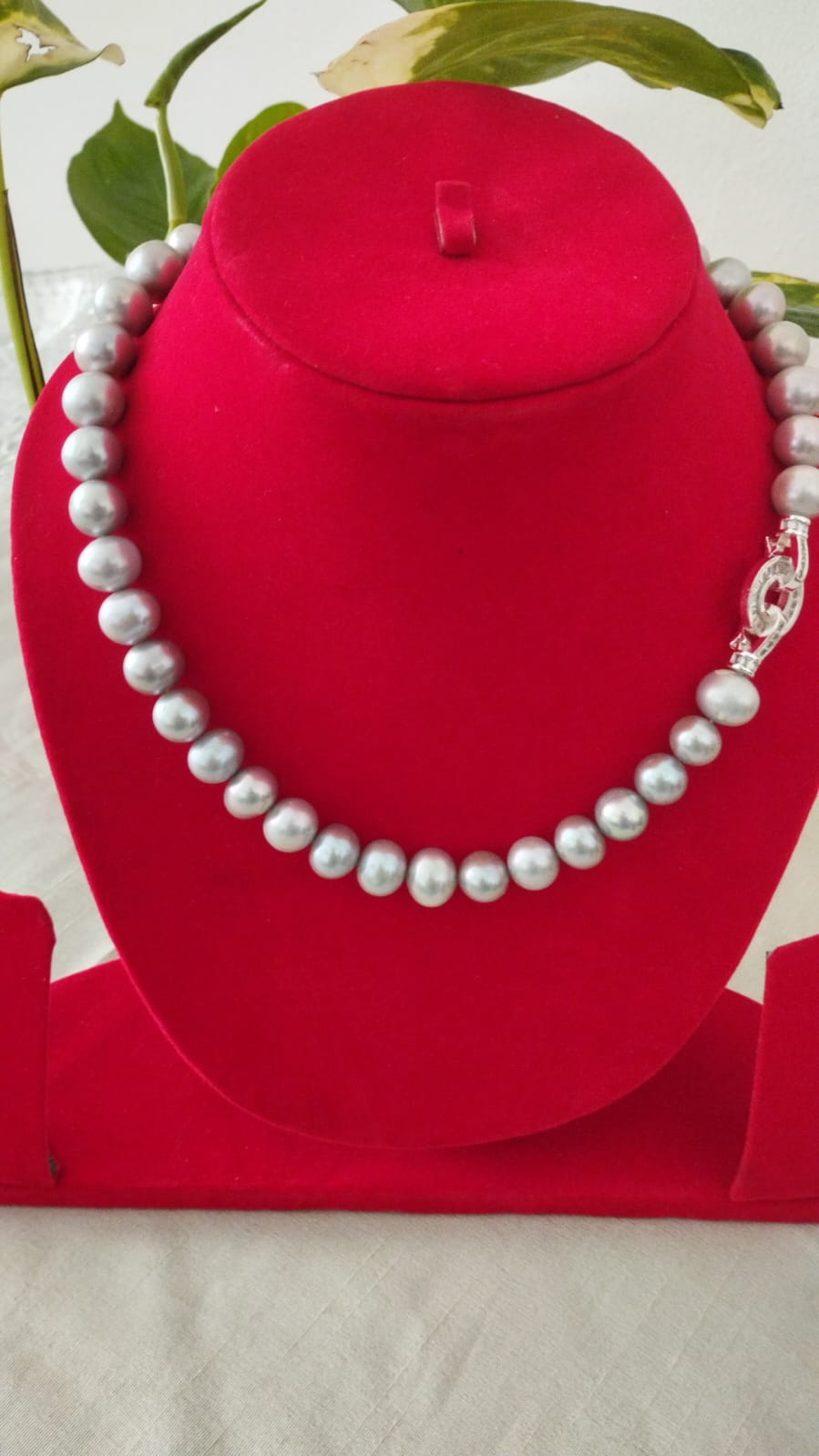 Fresh Water Pearls 10-11 mm Grey Color Fresh Water Pearls