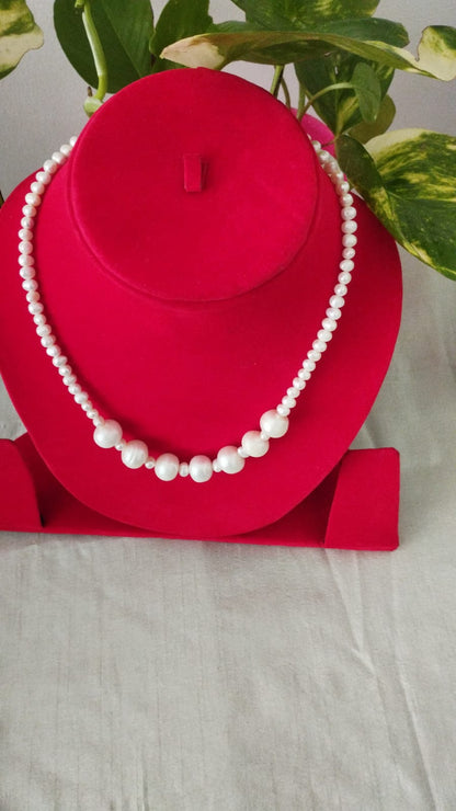 Fresh Water Pearls Necklace 5 mm with Seven 12 mm White Pearls in Center